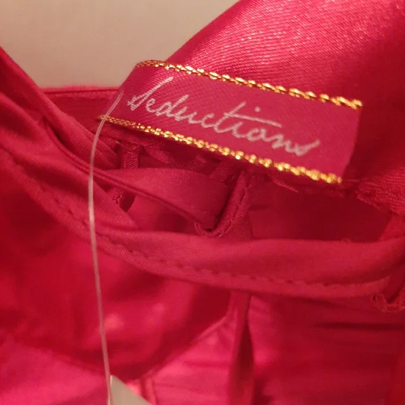 Seduction Dress - Picture 2 of 4